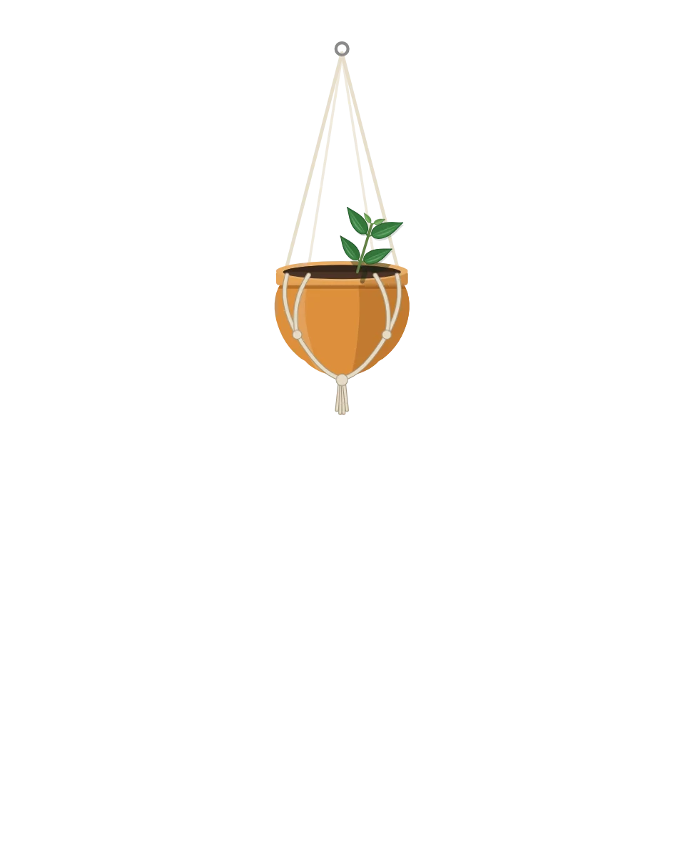 Drawing of a Hoya lanceolata subsp. bella, a cutting: Day 1. A rooted cutting, fresh in its pot.