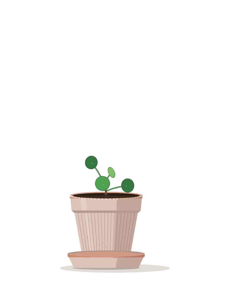 Drawing of a Pilea peperomioides, a pup: Day 1. A potted-up pup with its first few leaves.