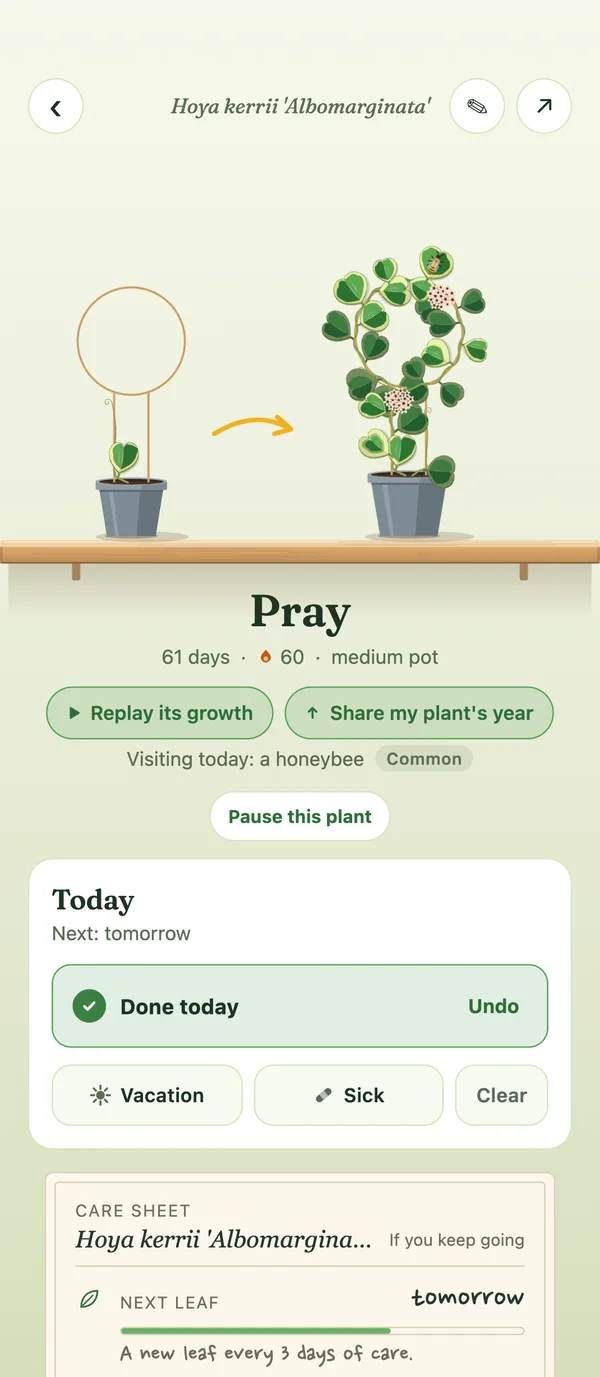 A plant page: a Hoya kerrii grown from a one-leaf cutting, 61 days, a streak of 60, Done today ticked, and a care sheet.