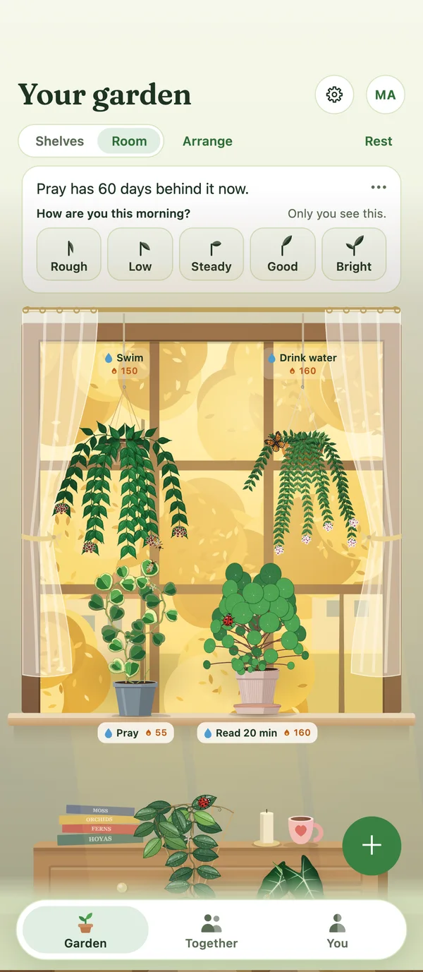 The garden as a room: two Hoyas hanging at the window, plants on the sill and on the floor.